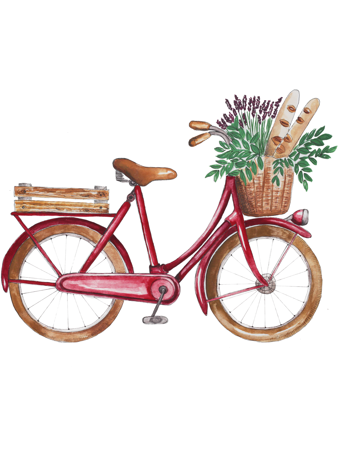 Illustration of a traditional French bike with bread and flowers in it's front basket